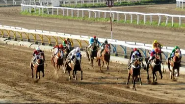 Descubierto escándalo de corrupción por desvío de fondos en este hipódromo Descubierto escándalo de corrupción por desvío de fondos en este hipódromo