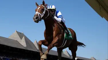 Mira los 7 potros que nomina este entrenador a Stakes que clasifica al Kentucky Derby Mira los 7 potros que nomina este entrenador a Stakes que clasifica al Kentucky Derby