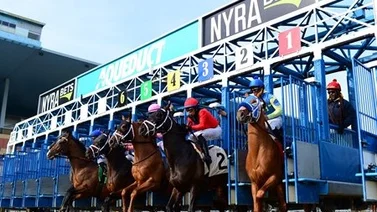 ¡Última hora! Entrenador de caballos purasangre enfrenta dos años de suspensión por uso de sustancias prohibidas