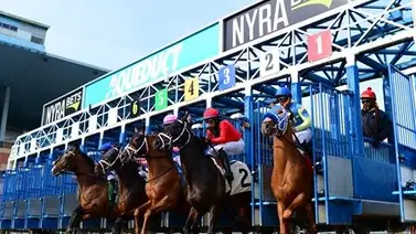 ¡Última hora! Entrenador de caballos purasangre enfrenta dos años de suspensión por uso de sustancias prohibidas ¡Última hora! Entrenador de caballos purasangre enfrenta dos años de suspensión por uso de sustancias prohibidas