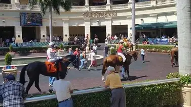 Así quedaron los resultados de las carreras Gulfstream Park 02-02-2024 Así quedaron los resultados de las carreras Gulfstream Park 02-02-2024