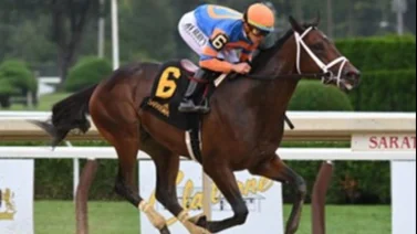 El mal precedente que deberá superar Fierceness si gana el Holy Bull Stakes este sábado