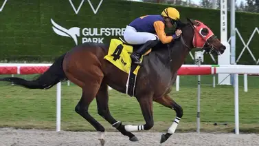 Mira la increíble carrera que le ganó Edgar "Tendón" Pérez a Irad Ortiz Jr. (+video) Mira la increíble carrera que le ganó Edgar "Tendón" Pérez a Irad Ortiz Jr. (+video)