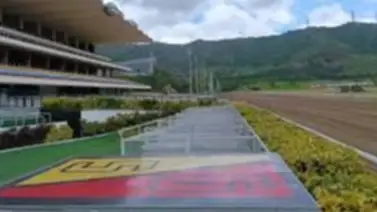 Aquí están los favoritos de la cátedra para el 5 y 6 Nacional de la reunión N°4 de 2024 en La Rinconada Aquí están los favoritos de la cátedra para el 5 y 6 Nacional de la reunión N°4 de 2024 en La Rinconada