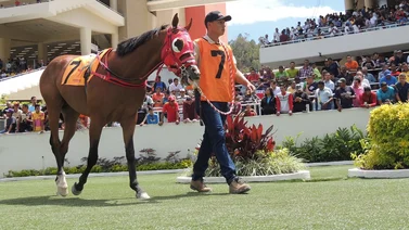 Datos de Ultima Hora para el Hipódromo La Rinconada 04-02-2024