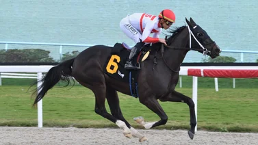 Entrenador venezolano se anota Grand Slam con 4 victorias el viernes en hipódromo de Estados Unidos