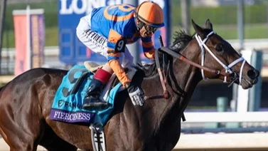 El potro del año 2023 regresa este sábado en el Holy Bull (G3) 
