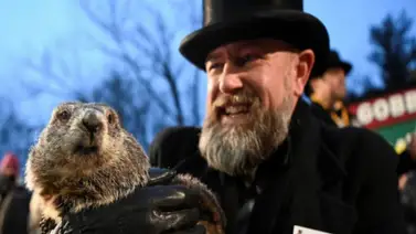 La marmota Phil predice la llegada de la primavera 2024 La marmota Phil predice la llegada de la primavera 2024