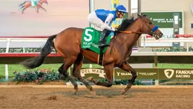 El potrazo de Baffert que busca preservar su invicto en el Robert B. Lewis (G3) este sábado El potrazo de Baffert que busca preservar su invicto en el Robert B. Lewis (G3) este sábado