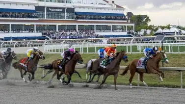 Así quedaron los resultados de las carreras Gulfstream Park 03-02-2024 Así quedaron los resultados de las carreras Gulfstream Park 03-02-2024