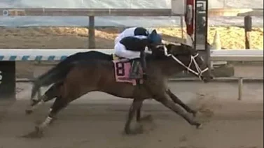 Jockey venezolano triunfa en un final electrizante en esta clasificatoria al Kentucky Derby  (+vídeo)