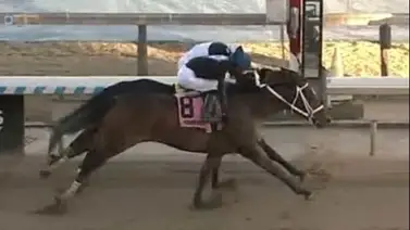 Jockey venezolano triunfa en un final electrizante en esta clasificatoria al Kentucky Derby (+vídeo) Jockey venezolano triunfa en un final electrizante en esta clasificatoria al Kentucky Derby (+vídeo)