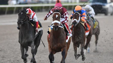Hades mantuvo su invicto en el Holy Bull Stakes