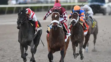 Hades mantuvo su invicto en el Holy Bull Stakes Hades mantuvo su invicto en el Holy Bull Stakes