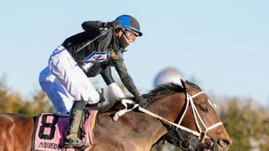 Mira la increíble reacción de Mychel Sánchez después de ganar el Withers Stakes (+video)