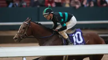 Mystik Dan sorprende en el Southwest Stakes (G3) de 2024 Mystik Dan sorprende en el Southwest Stakes (G3) de 2024