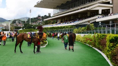Estos son los retirados de la reunión 04 del Hipódromo La Rinconada este domingo 04-02-2024