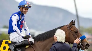 Por esta razón el potro Nysos no puede correr el Kentucky Derby Por esta razón el potro Nysos no puede correr el Kentucky Derby