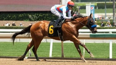 Mira lo que costaron los prospectos de Bob Baffert que no pueden correr el Kentucky Derby
