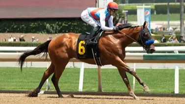 Mira lo que costaron los prospectos de Bob Baffert que no pueden correr el Kentucky Derby Mira lo que costaron los prospectos de Bob Baffert que no pueden correr el Kentucky Derby