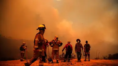 ¡Una tragedia! Cifra de muertos se actualiza tras ola de incendios que azotan el centro de Chile ¡Una tragedia! Cifra de muertos se actualiza tras ola de incendios que azotan el centro de Chile