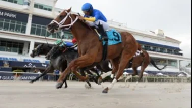 Jockey campeón de Venezuela abre y cierra el domingo en Gulfstream Park