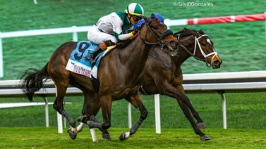 ¡Encendido! Este jockey puertorriqueño gana 8 carreras esta semana del Championship Meet