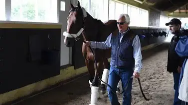 ¿Sabe Ud. cuáles son los 5 entrenadores más ganadores de stakes de grado 1 en Norteamérica? ¿Sabe Ud. cuáles son los 5 entrenadores más ganadores de stakes de grado 1 en Norteamérica?