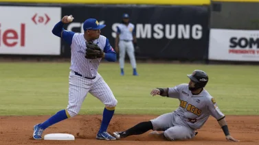 LVBP: ¡Increíble! Leones del Caracas y Navegantes del Magalles se pueden enfrentar en un estadio de Grandes Ligas (+Detalles)