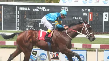 Debuta el potro más costoso de la subasta Unicría 2021 este domingo en La Rinconada Debuta el potro más costoso de la subasta Unicría 2021 este domingo en La Rinconada