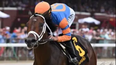 Fierceness ¿Una carrera buena y una mala? Fierceness ¿Una carrera buena y una mala?