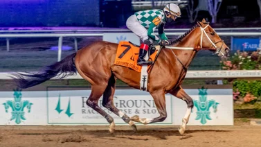 Así van los potros tresañeros en los puntos clasificatorios al Kentucky Derby