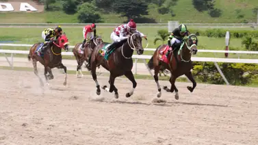 José Gilberto Hernández montará este ejemplar que tiene 154 días sin correr en La Rinconada José Gilberto Hernández montará este ejemplar que tiene 154 días sin correr en La Rinconada