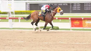 Ángel Castillo monta a este pupilo de Rafael Cartolano que tiene 63 días sin competir en La Rinconada Ángel Castillo monta a este pupilo de Rafael Cartolano que tiene 63 días sin competir en La Rinconada