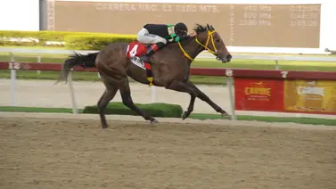 Ganador selectivo regresa a La Rinconada después un parón de 56 días sin correr Ganador selectivo regresa a La Rinconada después un parón de 56 días sin correr