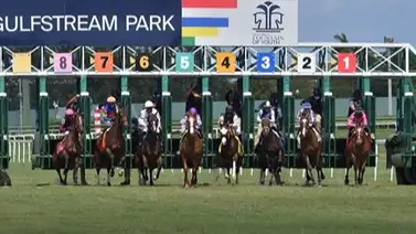 Aquí el Best Bet y los Tips para el Pick Six de Gulfstream Park 07-02-2024 Aquí el Best Bet y los Tips para el Pick Six de Gulfstream Park 07-02-2024