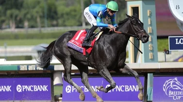 Se anuncia la despedida de esta gran campeona sprinter 