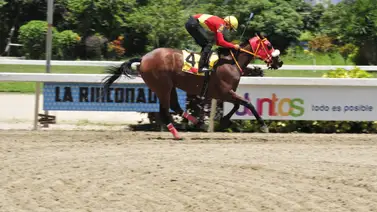 Conoce la alegría que le dio Wilfred Vásquez a Ángel Castillo este martes Conoce la alegría que le dio Wilfred Vásquez a Ángel Castillo este martes