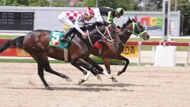 Ángel Castillo montará este ejemplar de Ramón García que tiene 56 días sin correr en La Rinconada