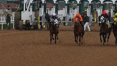Suspendidas las carreras del viernes en este hipódromo de Estados Unidos Suspendidas las carreras del viernes en este hipódromo de Estados Unidos