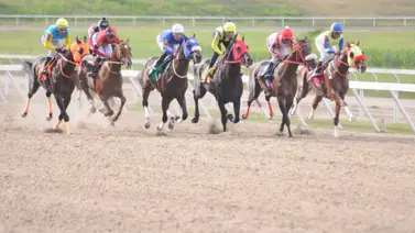 Fernando Parilli reaparece a yegua que tiene 238 días sin competir en La Rinconada Fernando Parilli reaparece a yegua que tiene 238 días sin competir en La Rinconada