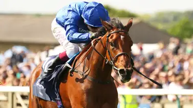 Otra gran ganadora clásica internacional dice adiós a las pistas Otra gran ganadora clásica internacional dice adiós a las pistas