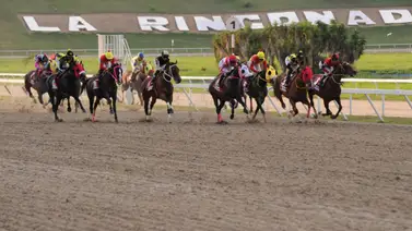 Germán Rojas hace debutar este domingo a nieta del abuelo materno campeón 2023 en La Rinconada Germán Rojas hace debutar este domingo a nieta del abuelo materno campeón 2023 en La Rinconada