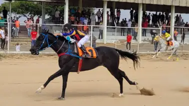Jinete que ganó una carrera a sus 12 años quiere emular los pasos de Emisael Jaramillo Jinete que ganó una carrera a sus 12 años quiere emular los pasos de Emisael Jaramillo