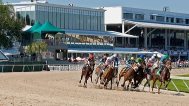 Cuatro jinetes y un entrenador venezolano en el Sam F. Davis de Tampa Bay Downs