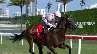 Junior Alvarado dio la cara por los venezolanos este miércoles en Gulfstream Park