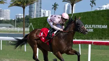 Junior Alvarado dio la cara por los venezolanos este miércoles en Gulfstream Park Junior Alvarado dio la cara por los venezolanos este miércoles en Gulfstream Park