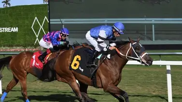 Paco López con el mejor dividendo del miércoles en Gulfstream Park Paco López con el mejor dividendo del miércoles en Gulfstream Park