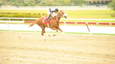 Así fue el ajuste de la línea de Gaceta Hípica del domingo en La Rinconada Así fue el ajuste de la línea de Gaceta Hípica del domingo en La Rinconada