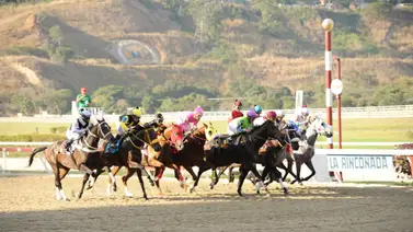 Nieta de Water Poet es la más rápida de las debutantes en los ajustes del miércoles en La Rinconada Nieta de Water Poet es la más rápida de las debutantes en los ajustes del miércoles en La Rinconada